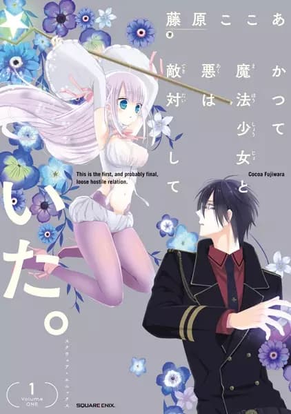 The Magical Girl and the Evil Lieutenant Used to Be Archenemies