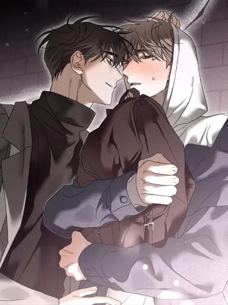 Love Loop