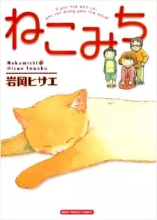 Cat's Road